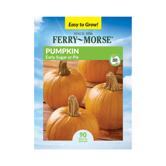 Ferry-Morse 1.9G Pumpkin Sugar Pie Annual Vegetable Seeds, Full Sun