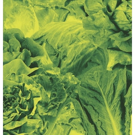 Lettuce - Monorail 3000 B/w Star Children - Music & Performance - Vinyl [7-Inch]