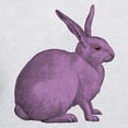 thumbnail image 3 of CafePress - Purple Bunny Rabbit Hooded Sweatshirt - Pullover Hoodie, Hooded Sweatshirt, 3 of 3