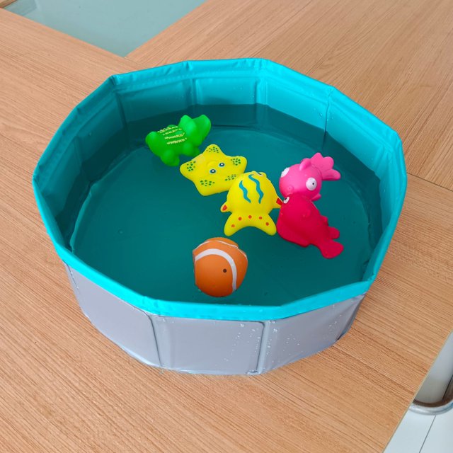 Lavabo de limpieza para mascotas plegable de PVC, piscina portátil para perros y gatos