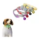 thumbnail image 1 of Collar Ratoncito Para Mascota Con Dije De Cascabel, 1 of 7