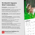 thumbnail image 2 of Baby Goats 2023 Square, 2 of 8