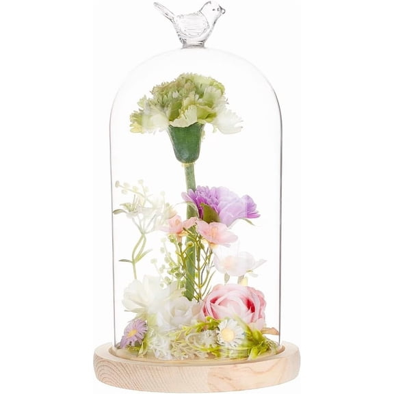 Clear 4.8x9.0inch Glass Display Dome Cloche with Bird Top Handle Everlasting Flower Glass Cover with Wooden Base for Specimens Plants DIY Decor