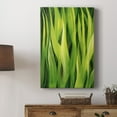 thumbnail image 5 of Blades of Grass I Premium Gallery Wrapped Canvas - Ready to Hang, 5 of 9