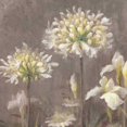 thumbnail image 3 of Nai, Danhui 15x15 Black Modern Framed Museum Art Print Titled - Spring Blossoms Neutral III, 3 of 5
