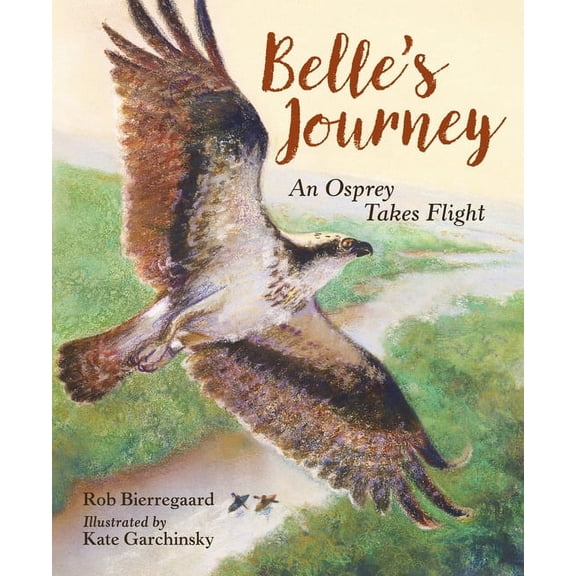 Belle's Journey: An Osprey Takes Flight, (Hardcover)
