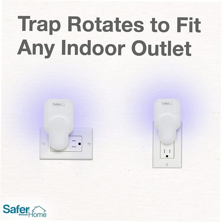 Traps Safer Home Chemical Free Indoor Plug Trap, Fruit, White