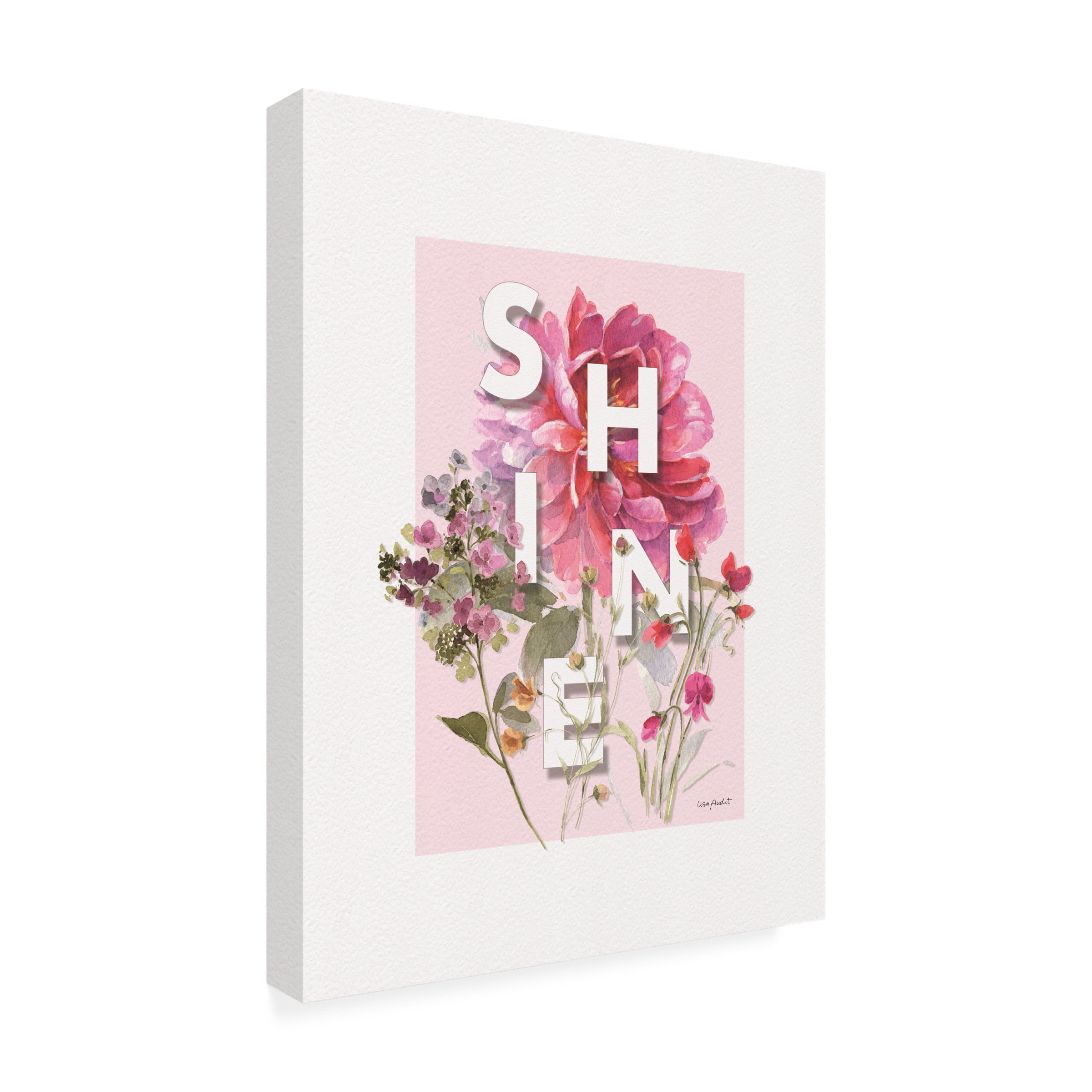 Lisa Audit 'Obviously Pink 08' Canvas Art