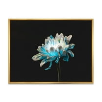 Designart 'Close Up Of White and Pure Blue Daisy Flower I' Traditional Framed Canvas Wall Art Print