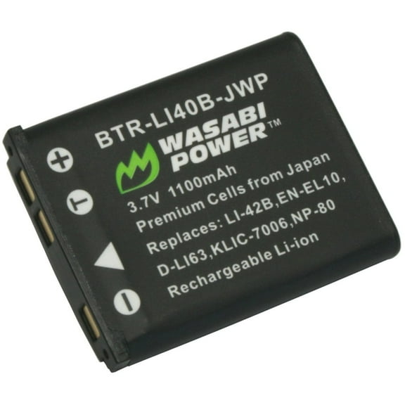 Wasabi Power Battery for Casio NP-80, NP-82