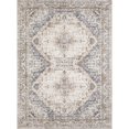thumbnail image 3 of BERTHMEER 6'x9' Area Rugs for Living Room Bedroom Dining Room Farmhouse Vintage Traditional Rugs Throw Rugs Washable non-slip, Blue Brown, 3 of 6