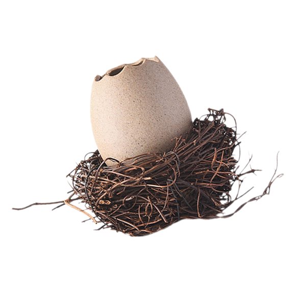 WEUVEB 1Jgo Florero Cerámico Eggshell Multifuncional Con De Nido Para Interior