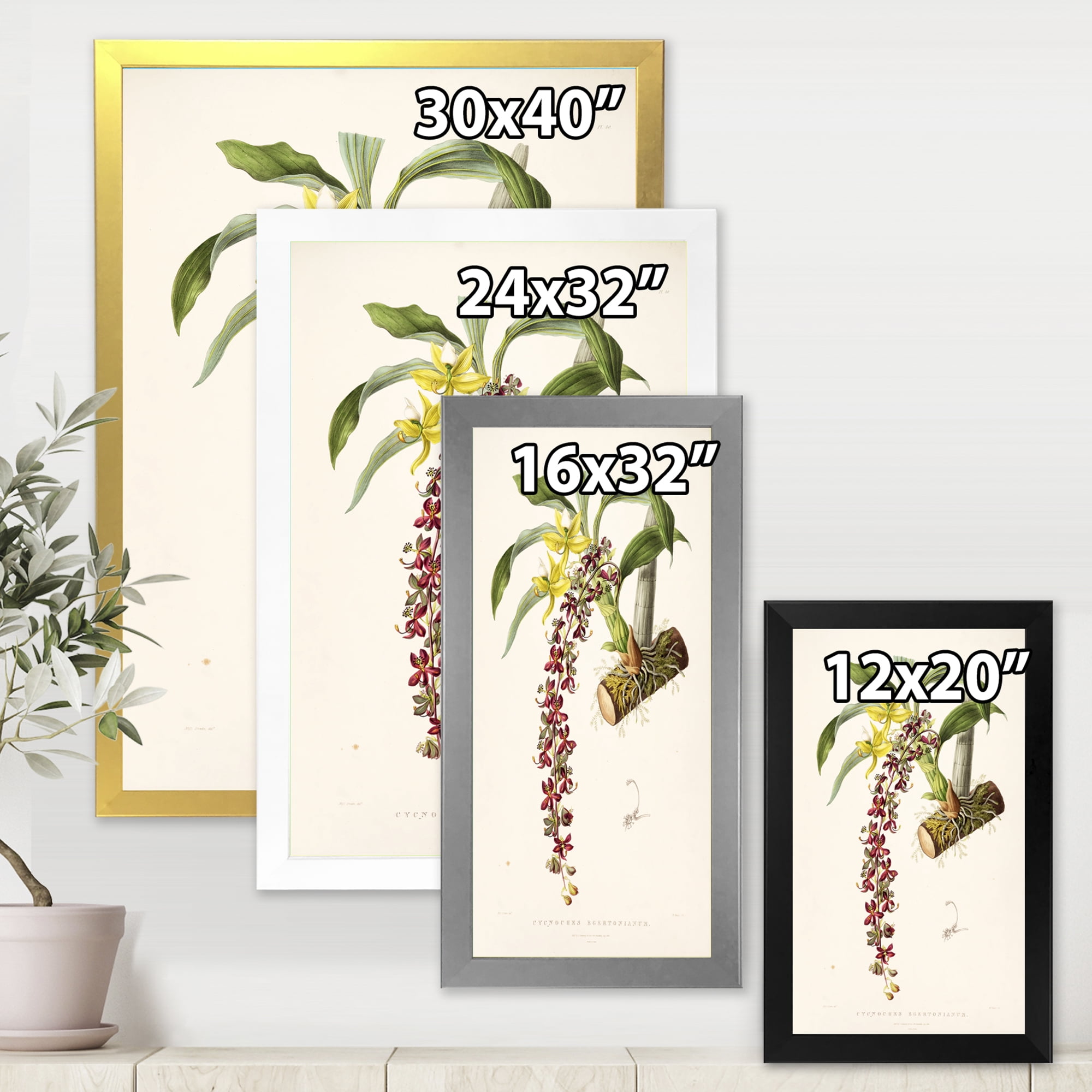 Designart 'Ancient Flower II' Traditional Framed Art Print