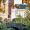 thumbnail image 3 of Masterpiece Art Gallery Central Park View New York by GI Artlab Canvas Art Print 22" x 28", 3 of 4