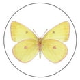 thumbnail image 3 of Lang Companies, Brillant Butterflies Coffee Mug, 3 of 4