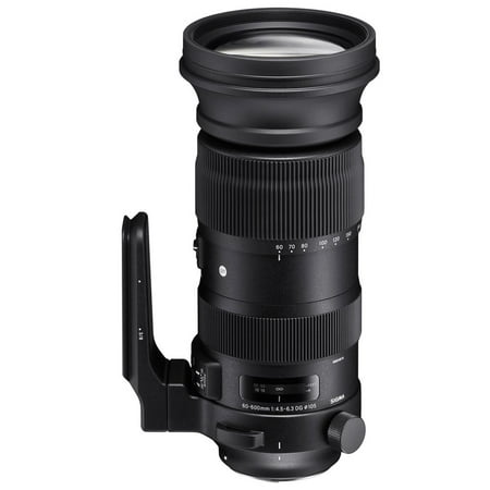 Sigma 60-600mm F/4.5-6.3 DG...