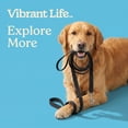 thumbnail image 4 of Vibrant Life Training Leash and Tie-Out for Dogs, 20 ft, Black, 4 of 11