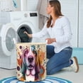 thumbnail image 4 of Basset Hound Portrait Watercolor Vintage Retro Styles Foldable Laundry Basket Bassets Dog Breed Lovers Gifts Idea Organizer Storage with Handles - 00001, 4 of 5