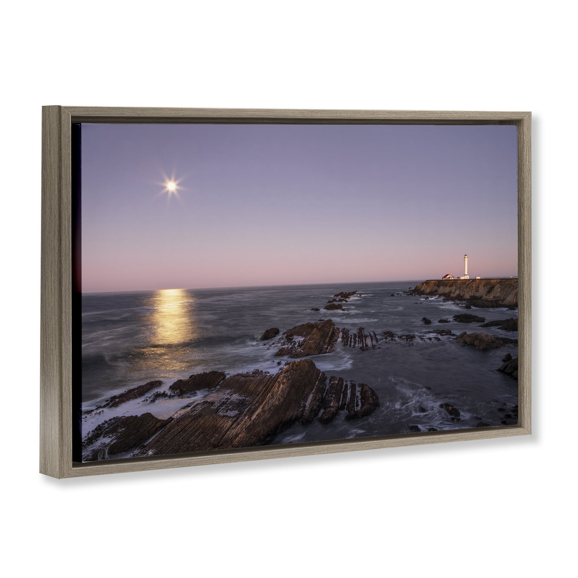 Stupell Industries Moon Arena Coastline Brown Framed Floater Canvas Wall Art, design by Shelley Carlisle