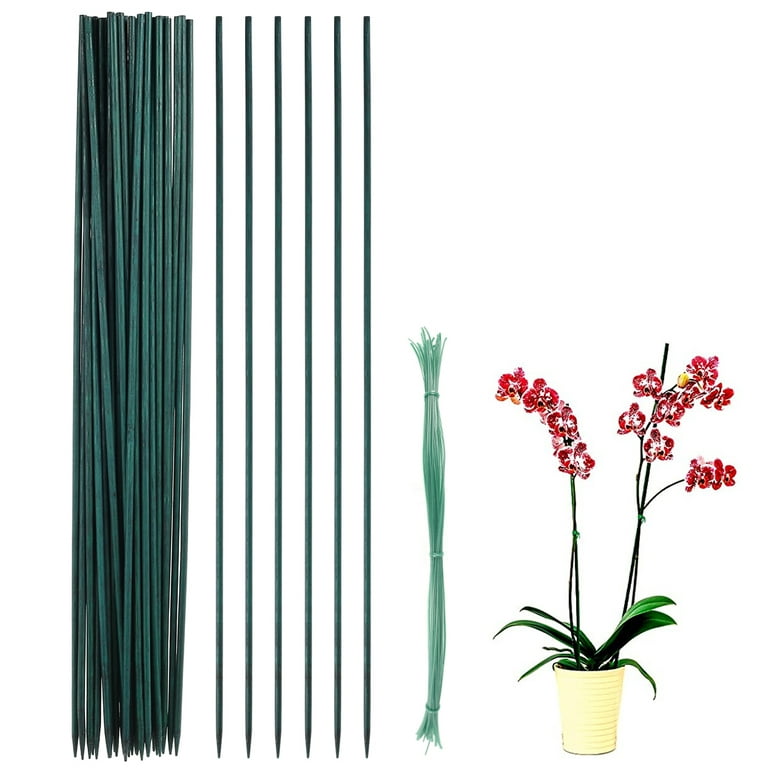 50Pcs Bamboo Green Garden Stakes Pea Sticks Flower Picks Plants Support  Stake 40cm 