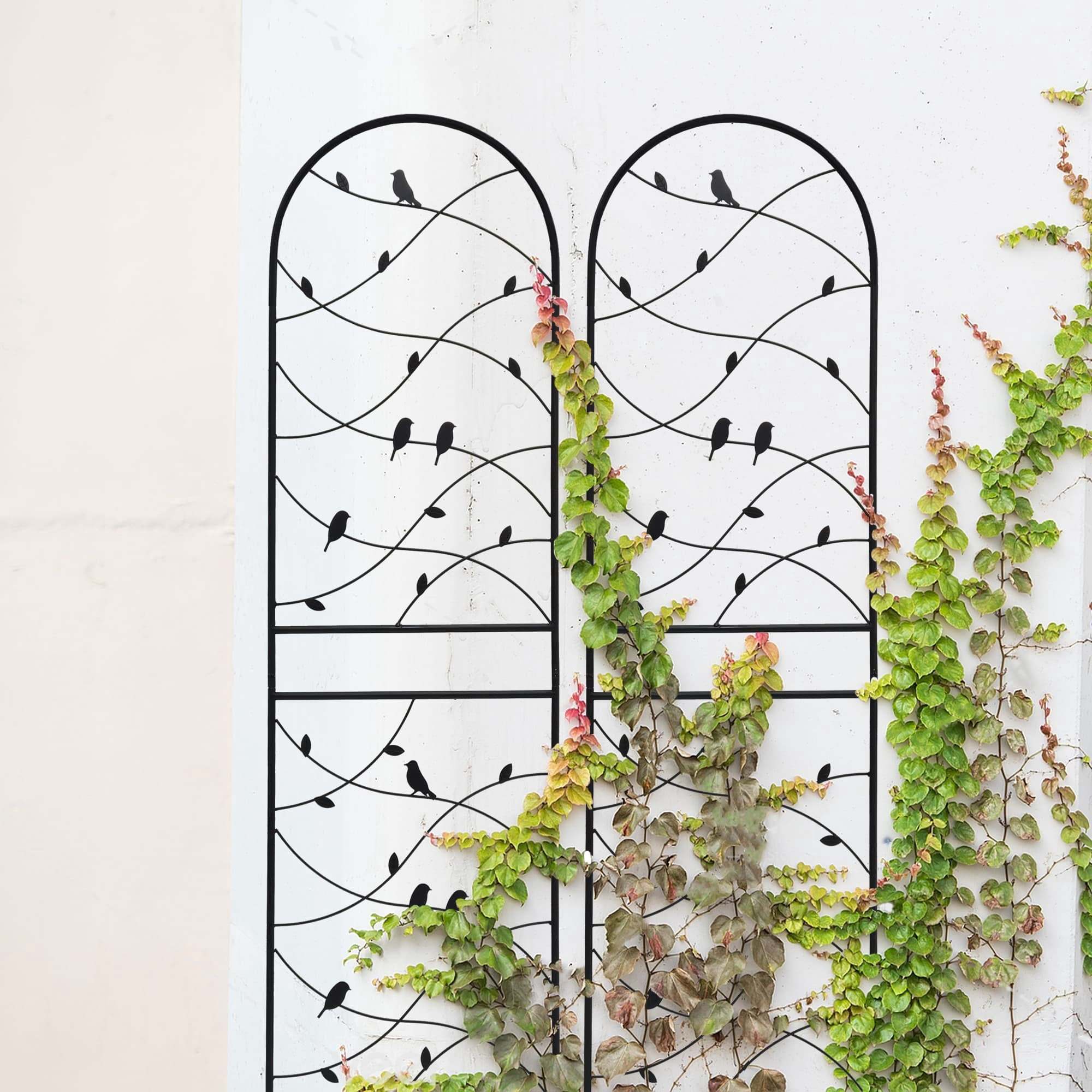 MAYEERTY 2 Pack Metal Garden Trellis 71 x 19.7 Inch Rustproof Climbing Plants Support Bird Deco Black Outdoor Flower