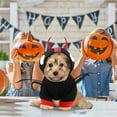 XUYEEYUAN Dog Sweater Pet Clothes Halloween Dog Pumpkin Halloween Pet