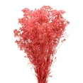 thumbnail image 1 of Flores secas Aliento de Bebés Unique Bargains Rosa 17 Pulgadas 1uds Decoración para Boda Fiesta Casa, 1 of 6