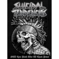 thumbnail image 1 of (Z1181) (entregado Con Tubo Papel) Póster Pintura Decorativa Tendencias Suicidas Serie Música Banda Rock 30*40 Cm Póster Decorativo para El, 1 of 9