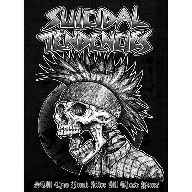 (Z1181) (entregado Con Tubo Papel) Póster Pintura Decorativa Tendencias Suicidas Serie Música Banda Rock 30*40 Cm Póster Decorativo para El