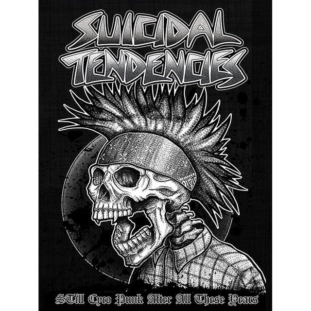 (Z1181) (entregado Con Tubo Papel) Póster Pintura Decorativa Tendencias Suicidas Serie Música Banda Rock 30*40 Cm Póster Decorativo para El