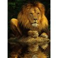thumbnail image 1 of Diamond Painting 5D DIY Full Round Drill Lion Kit Decoración del hogar Craft (sz3018) FLhrweasw Nuevo, 1 of 9