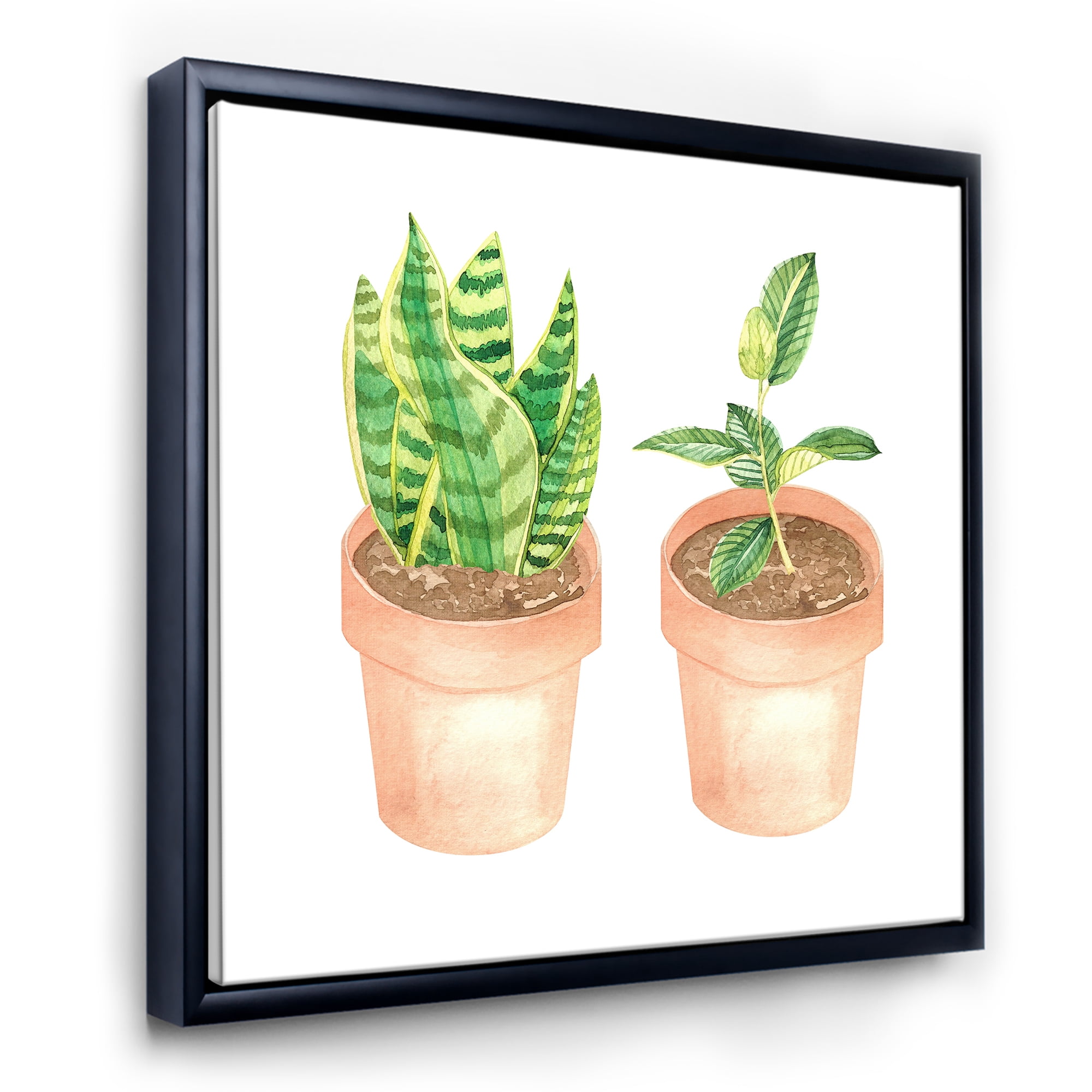 Designart 'Ficus and Sansevieria Indoor Green Home House Plants' Traditional Framed Canvas Wall Art Print