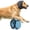 Blue, variant on Dog Ear Muffs, Noise Cancelling Ear Wrap, Adjustable Comfortable Calming Hoodie for Dogs, Ideal for Grooming, Bathing & Swimming