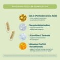 thumbnail image 3 of C15:0 Pentadecanoic Acid Supplement | Longevity, Cellular & Membrane Support, Micro-Granule Enhanced Absorption, Phosphatidylcholine, L-Carnitine, Ubiquinol CoQ10 & Tocotrienols – 120ct, 3 of 5