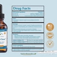 thumbnail image 6 of Native Remedies Mucus-Clear – Natural Mucus Relief for Adults – Clear Throat Phlegm Sinus Pressure Cough & Respiratory Discomfort – Daytime Mucus Relief & Lung Support – Fast-Acting – 2 Fl Oz, 6 of 7