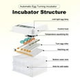 thumbnail image 6 of Intelligent 120 Eggs Egg Hatcher, Chicken Incubator for Eggs, Egg Turning Incubator, Automatic Poultry Hatcher for Chicken, Pigeon, Quail, Duck Eggs, 6 of 9