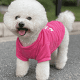 thumbnail image 4 of GASTROPOD Dog Shirts,Breathable and Moisture-Wicking Fabric Dog Clothes,Fashionable Design for Stylish Pets Puppy Clothes,L,Pink, 4 of 4