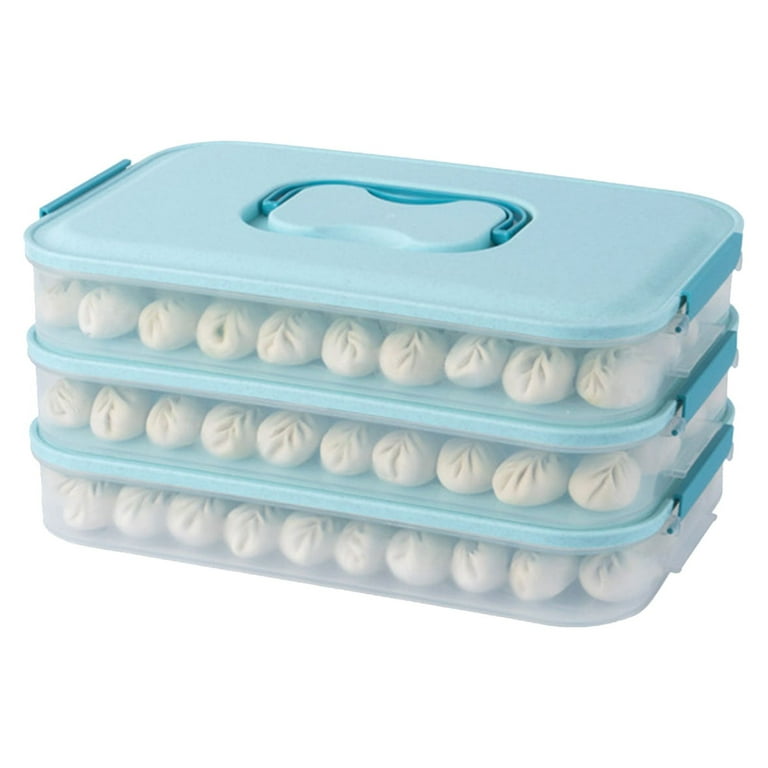 DTBPRQ Bento Box Food Storage Containers Dumpling Organizer