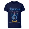 thumbnail image 1 of Harry Potter T-Shirt Adulte Ravenclaw, 1 of 3