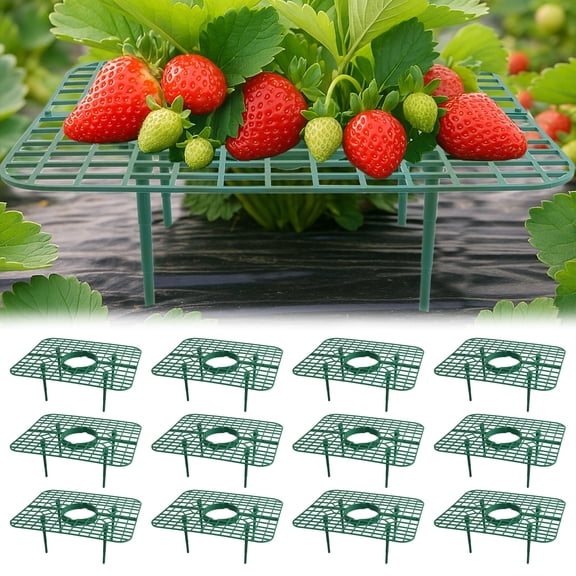 Richoose 5.91 in Plastic Rectangle Strawberry Fruits Plant Cage with Reusable 12 Count
