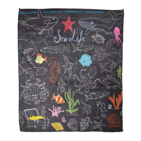 SIDONKU Throw Blanket 50x60 Inches Big Sea Life Sketch Doodles of Fish Shark Octopus Starfish and Crab Whale Warm Flannel Soft Blanket for Couch Sofa Bed