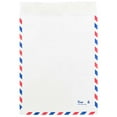 thumbnail image 3 of JAM Tyvek Tear-Proof Open End Catalog Envelopes, 10 x 13, White Airmail, 1000/Pack, 3 of 3