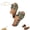 Green, variant on Leopard Print Platform Sandals, Women's Slip on Bow Knot Wedge Slippers Dressy, Summer Comfortable Thick Sole Open Toe Beach Shoes