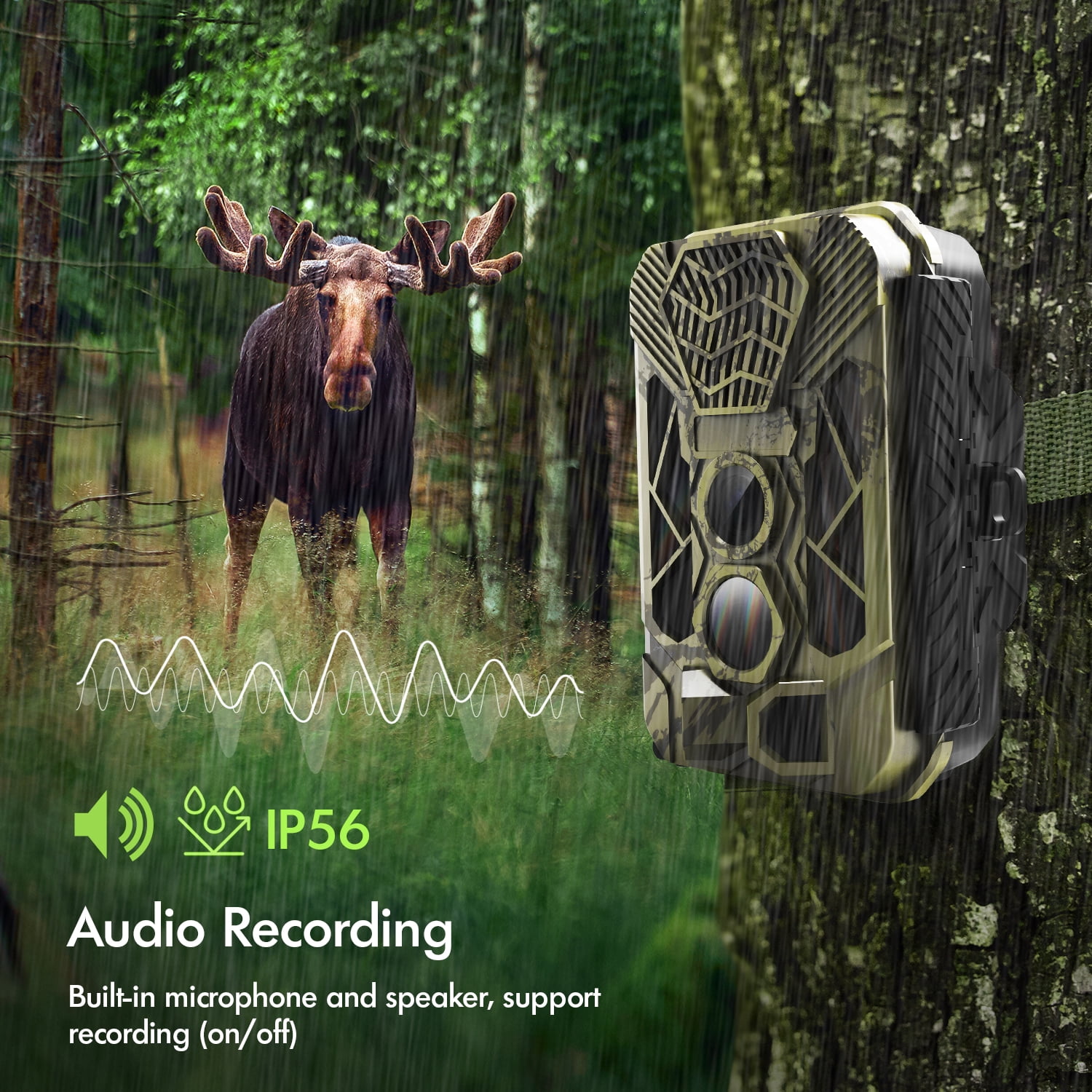 Rexing Woodlense H3 Trail Camera