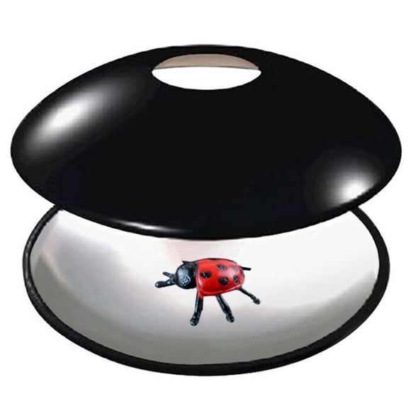 3D Mirascope Instant Maker Hologram Image Maker Funny Toy For Kids Adult Science Education Toy Novelty Gift Ladybug Projection