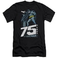 thumbnail image 1 of Batman Rooftop Premium Canvas T-Shirt Adult Slim Fit 30/1 Black, 1 of 1