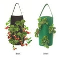 thumbnail image 4 of Labymos 15 x 9 Inch Strawberry Grow Bags with 8 Grow Holes Hanging Planter Box, 4 of 8