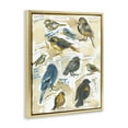 thumbnail image 3 of Stupell Industries Backyard Birds Identities Animals Painting Gray Floater Framed Canvas Art Print Wall Art, 17 x 21, 3 of 9