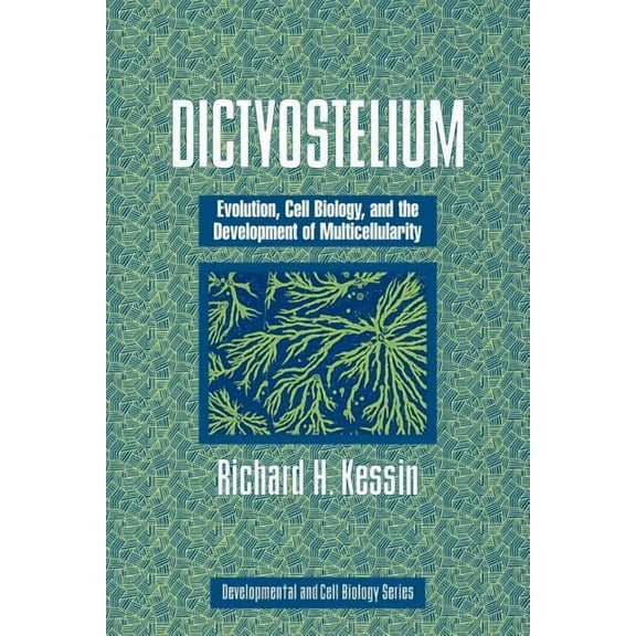 Developmental and Cell Biology Dictyostelium: Evolution, Cell Biology, and the Development of Multicellularity, Book 38, (Paperback)