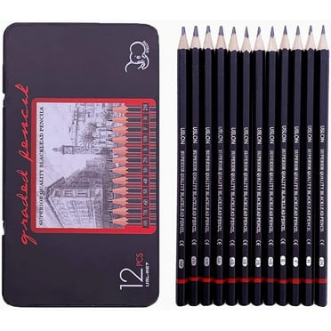 Casewin 12Pcs Sketching Pencils 8B-2H Drawing Pencils Shading Pencils Wooden Lead Pencils Art Pencils Sketch Pencils for Artists, Beginners, Students, with Iron Box